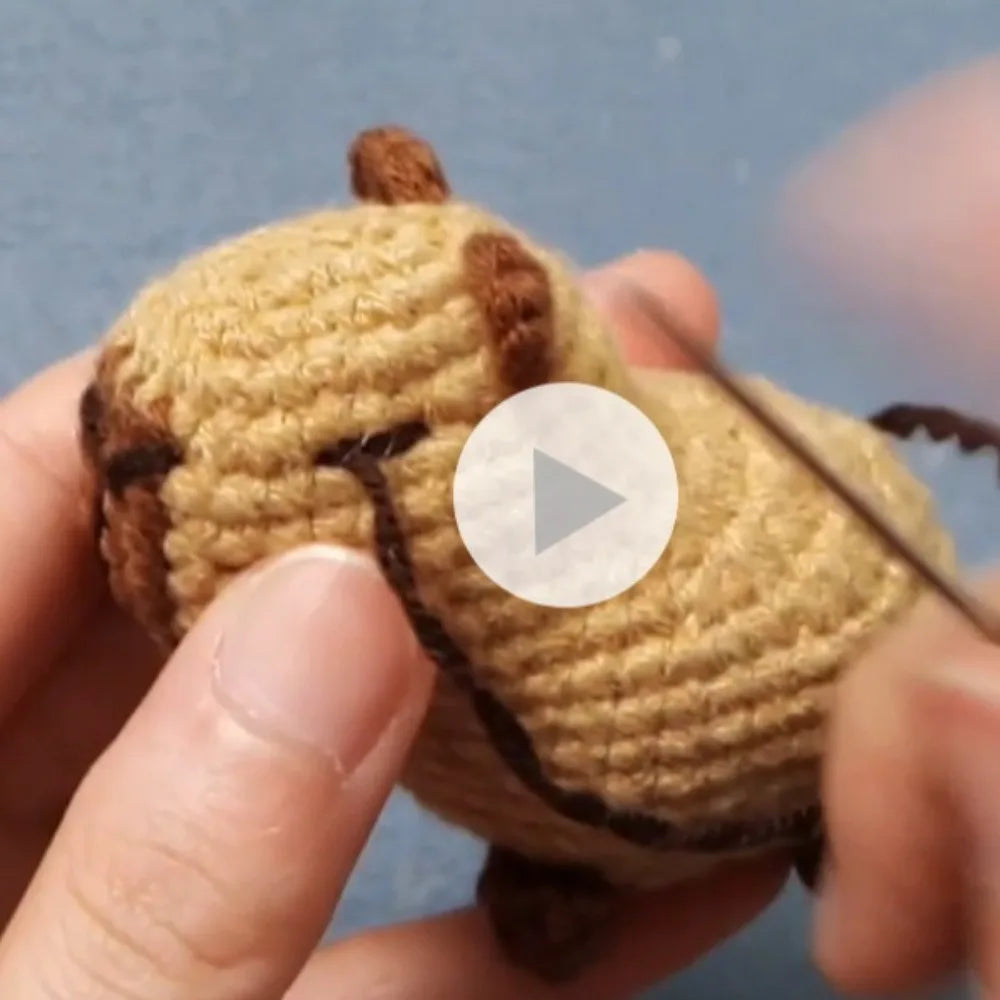Capybara Crochet Kit | Beginner DIY Stuffed Animal with Hooks & Guide