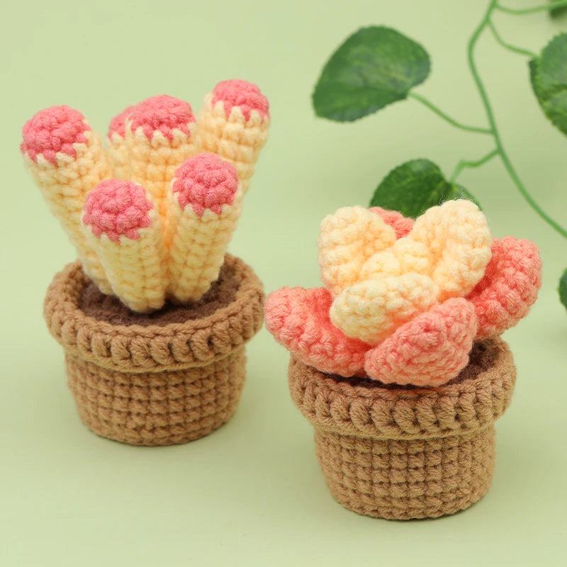 Crochet Starter Kit for Adults | 3/6pc Beginner Set with Hooks & Yarn